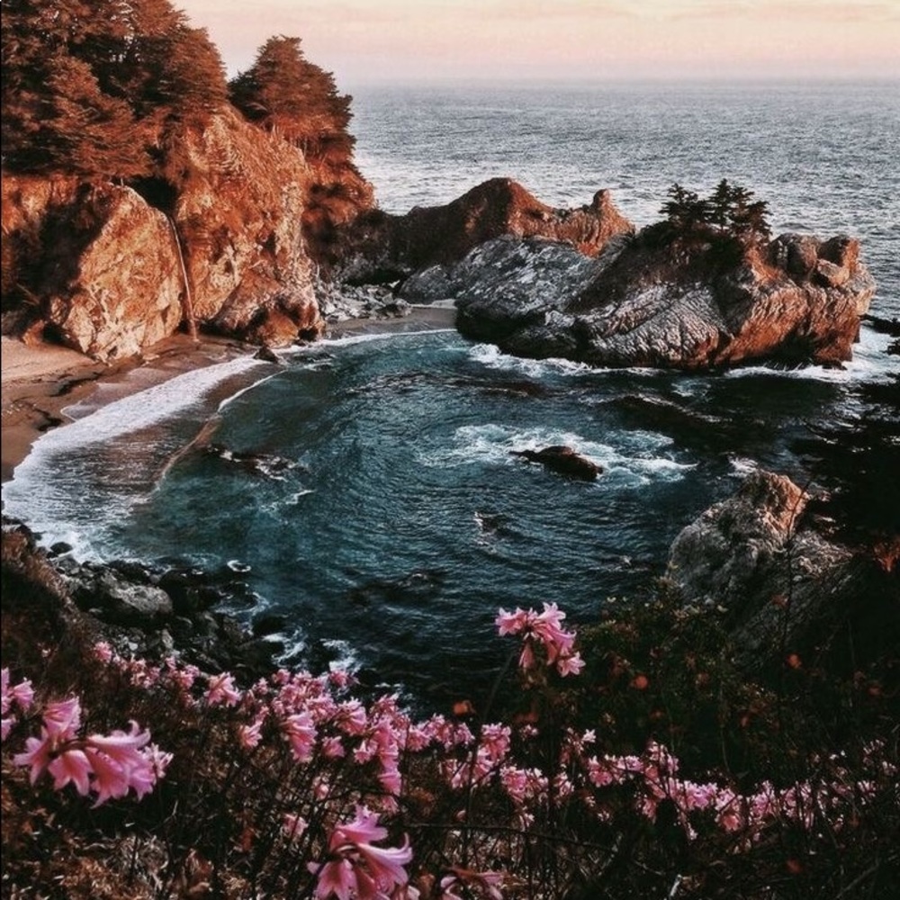 Meet your Posher, Lily